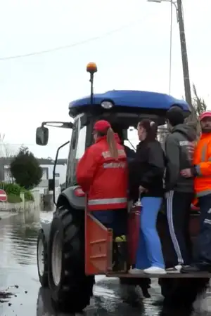 No lugar de Formoselha, em Montemor-o-Velho, só se circula de barco ou trator